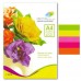 Папір кольоровий 75г/м, А4 5кол./10шт./50арк. неон SPECTRA-Rainbow Pack Cyber IT 82 O /16.7070/