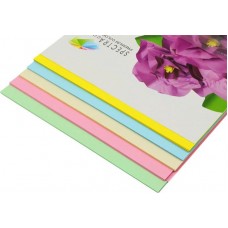 Папір кольоровий 160г/м, А4 5кол./10шт./50арк. паст. SPECTRA Color-Rainbow Pack Light IT 82 М /16.4254/