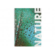 Книга канц. на спіралі  А4  80арк # офс. OPTIMA Малюнки природи. Бамбук 20330-06, обкл. лам. картон /О20330-06/