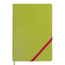 Блокнот BUROMAX А5 96арк. LOLLIPOP 295203-15 салатовий (лінія), /BM.295203-15/