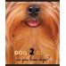 Книга канц. А4  48арк # офс. YES 764420 Pets club (3) /764420/