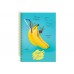 Книга канц. на спіралі  А4  80арк # офс. OPTIMA Fruits 20846-02, пластик. обкл. /O20846-02/