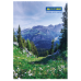 Книга канц. тв.пал. А4  96арк # газ. BUROMAX 2430 (8), /BM.2430/