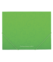 Папка на гумках А5 BUROMAX 3902-15 Barocco, салатова (100) /BM.3902-15/