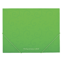 Папка на гумках А5 BUROMAX 3902-15 Barocco, салатова (100) /BM.3902-15/